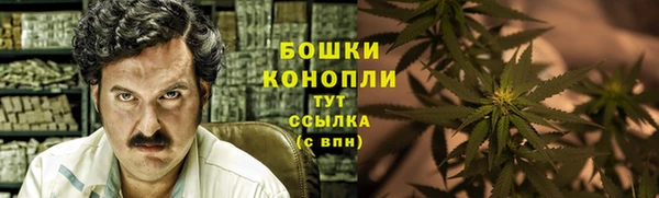ПСИЛОЦИБИНОВЫЕ ГРИБЫ Беломорск