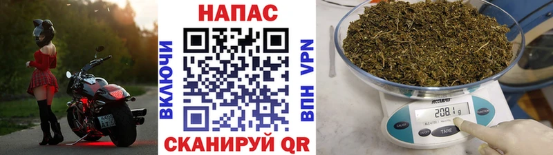Шишки марихуана гибрид  Новая Ладога 